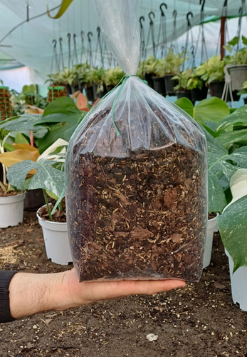 خاک گلهای آپارتمانی