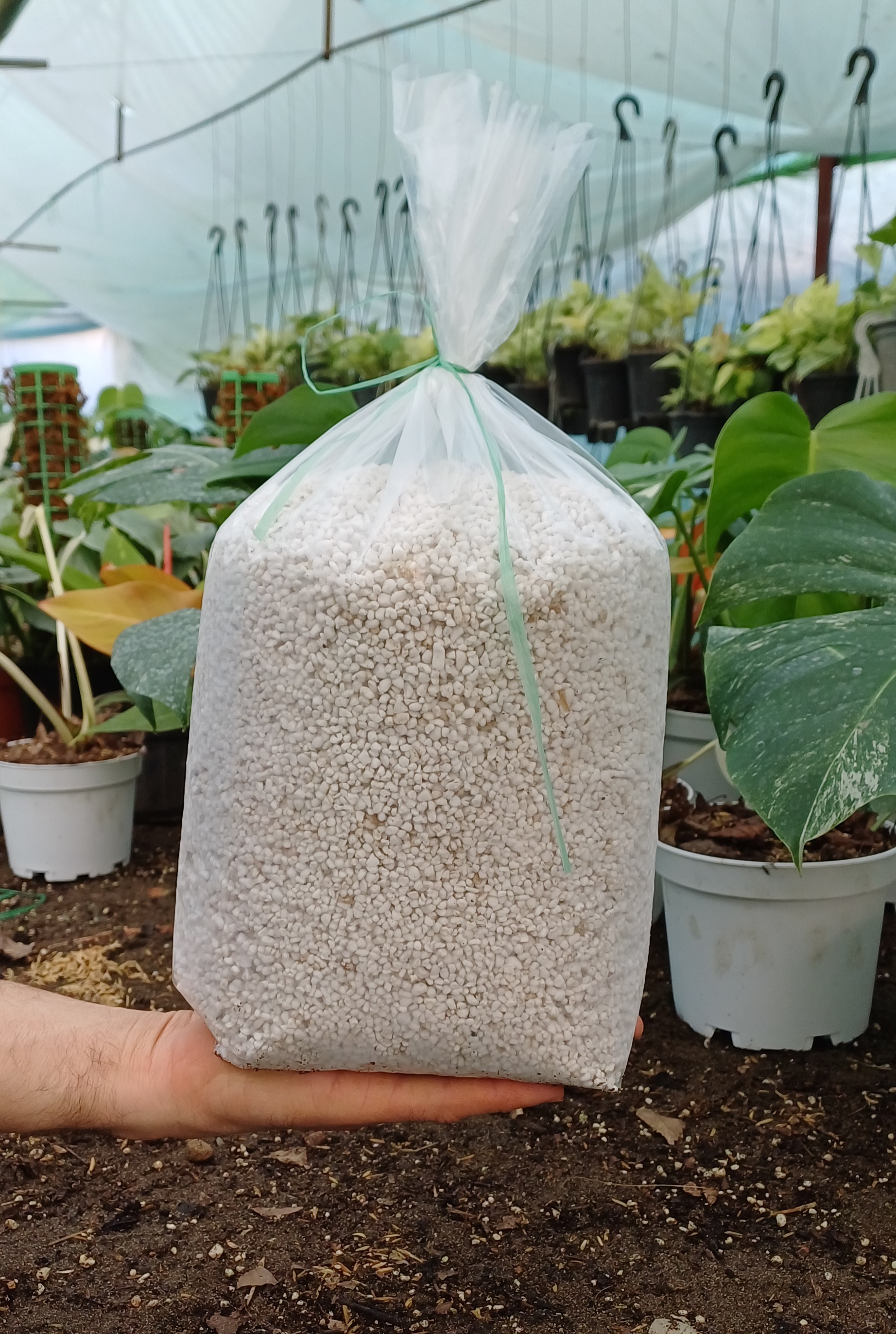 پرلیت متوسط